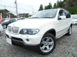 BMW X5. �������, 4wd, 3.0, ������, 40 000����. ��, ��� ���. ��� ����� �� ������������ ����