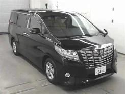 Toyota Alphard. ��������, 4wd, 2.5, ������, 65 000����. ��. ��� ����� �� ������������ ����