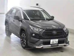 Toyota RAV4. ��������, ��������, 2.0, ������, 21 000����. ��, �/�. ��� ����� �� ������������ ����