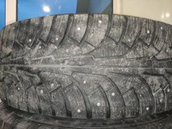 WolfTyres Nord. ������, ����������, �/�, ����� 30�% ����