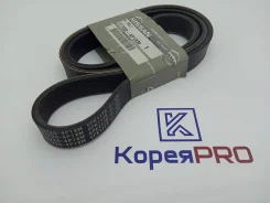 ������ 6PK1175 117204P1X0 Nissan 117204P1X0 ����