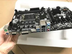H81. ��� ����� �� ������������ ����