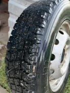 Forward Arctic 511. ������, �/�, ����� 10 % ����