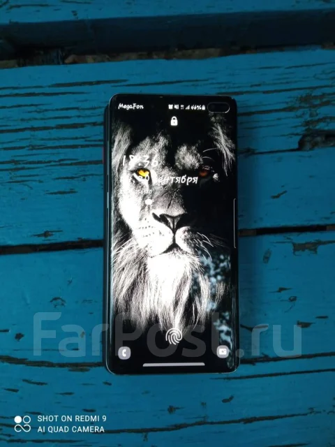 Samsung Galaxy S10+. �/� ����