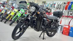 Regulmoto Alpha RM-2. 110����. ��., ��������, ��� ���, ��� �������. ��� ����� �� ������������ ����