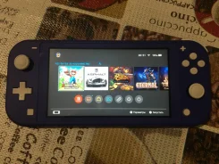 Nintendo Switch Lite ����