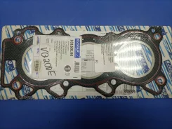 ��������� ��� Nissan VQ20DE ������� 10160100 ����