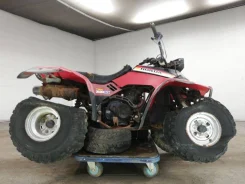 Honda TRX. ��� ���\���, ��� ������� ����