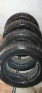 Presa PI14. ������, ��� �����, 2019 ���, �/�, ����� �� 5 % ����