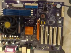 AMD ����