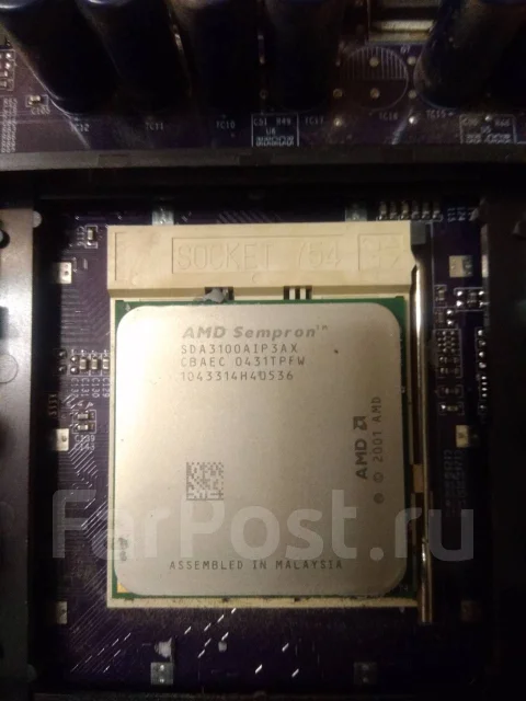 AMD ����