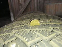 WolfTyres. ������, ����������, 2020 ���, �/�, ����� 5�% ����