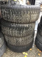 Bridgestone Blizzak DM-V1. ������, ��� �����, 2013 ���, �/�, ����� �� 5 % ����