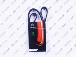 ������ ��� 4PK880* Ti�GUAR Tiguar 4PK880 4PK880 ����