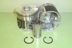 ������ 2KD-FTV �������� 13101-30081 STD + 0,50 1310130081 ����