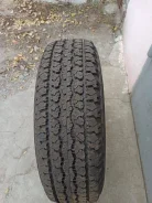 ��� �-555. �����������, 2019 ���, ����� ����