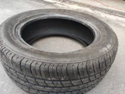 Boto