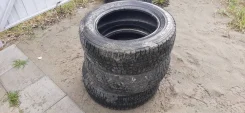 NorthTrek N1. ������, ��� �����, �/�, ����� 70 % ����