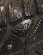 Tigar Ice. ������, ����������, 2020 ���, �/�, ����� 5 % ����