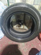Dunlop SP Sport 01. ������, 2011 ���, �/�, ����� 60�% ����
