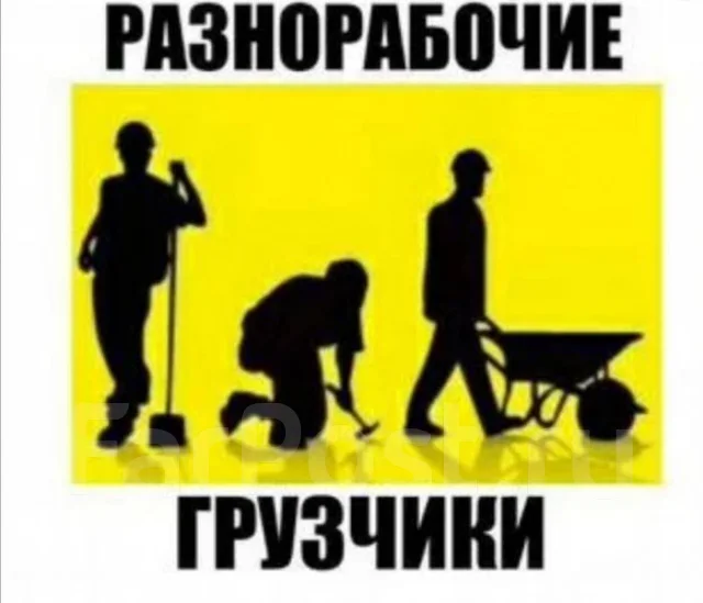 ��������. ����