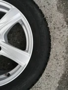 Gislaved Nord Frost 100. ������, ����������, 2015 ���, �/�, ����� 10 % ����