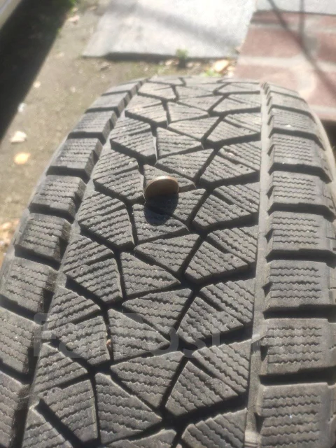 Bridgestone Blizzak DM-V2. ������, 2019 ���, �/�, ����� �� 5 % ����