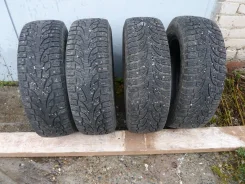 Pirelli Winter Asimmetrico. ������, ����������, 2013 ���, �/�, ����� 10 % ����