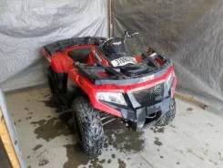 Arctic Cat. ����������, ��� ���\���, ��� �������. ��� ����� �� ������������ ����