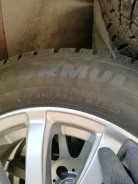Pirelli Ceat Formula Winter. ������, ����������, �/�, ����� �� 5�% ����