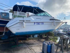 Searay. 1991 ���, ��������� ������������, 310��.�., ������ ����