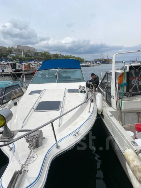 Searay. 1991 ���, ��������� ������������, 310��.�., ������ ����