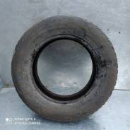 ���� Euro-519