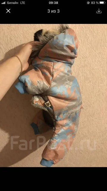 ������. ����
