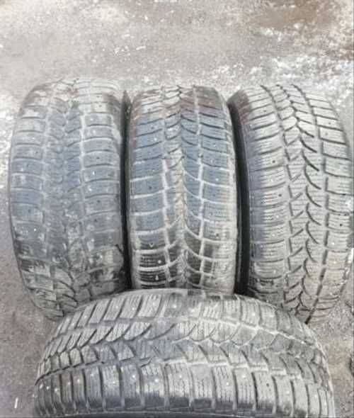 Tigar Sigura Stud. , , /,  50 % 