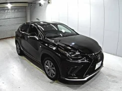 Lexus NX200. ��������, 4wd, 2.0 (238��.�.), ������, 53 000����. ��, �/�. ��� ����� �� ������������ ����