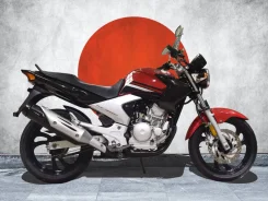 Yamaha YBR 250. 250����. ��., ��������, ���, ��� �������. ��� ����� �� ����������� ����