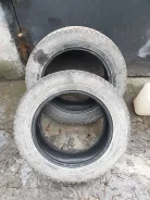 Nordman 5. ������, �/�, ����� 10 % ����