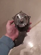 ����� ������� ����