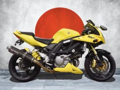 Suzuki SV 650S. 650����. ��., ��������, ���, ��� �������. ��� ����� �� ������������ ����