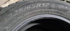 Dunlop Landsman. ������, ��� �����, 2013 ���, �/�, ����� 5 % ����