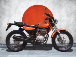 Honda FTR 223. 223����. ��., ��������, ���, ��� �������. ��� ����� �� ������������ ����