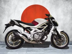 Suzuki SFV 650 Gladius. 650����. ��., ��������, ���, ��� �������. ��� ����� �� ������������ ����