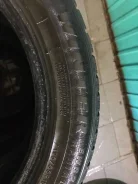 Evergreen. ������, ��� �����, 2012 ���, �/�, ����� 50�% ����