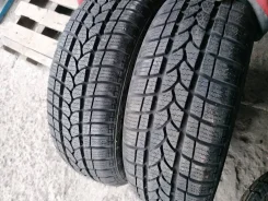 Tigar Winter 1. ������, ��� �����, ����� ����