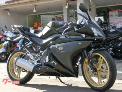 Yamaha YZF-R125. 125����. ��., ��������, ���������, ��� �������. ��� ����� �� ������������ ����
