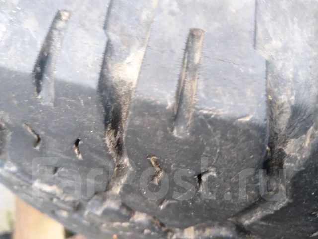 Fulda. �����������, 2010 ���, �/�, ����� 30 % ����