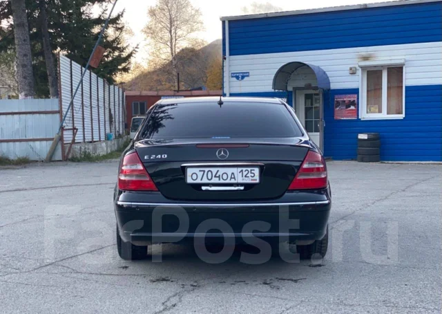 Mercedes-Benz E-Class. �������, ������, 3.2 (224��.�.), ������, 133����. �� ����