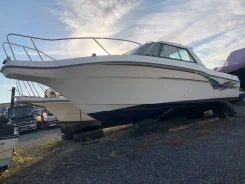 Nissan Suncruise. 2004 ���, ����� 7,5��., ��������� ���������, 130��.�., ������ ����