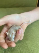 ����. ����